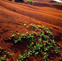 《赛博朋克2077》新技能树惊现“边缘行者”彩蛋